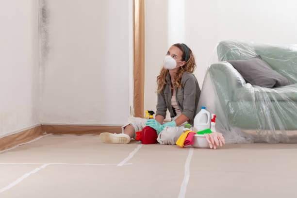 Reliable Mold Remediation contractor in Jenkintown, PA by WQB Mold Removal